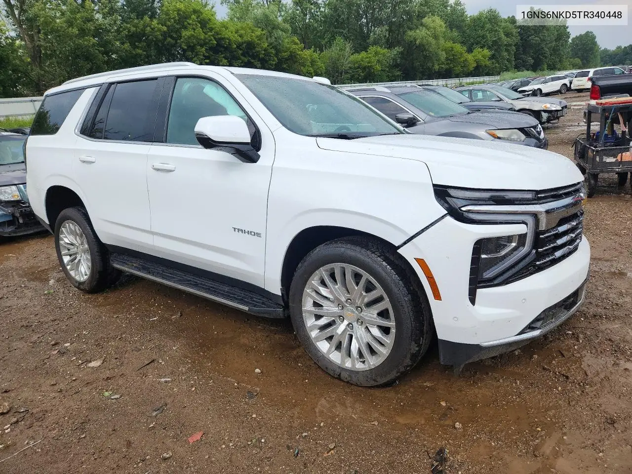 2026 Chevrolet Tahoe K1500 Lt VIN: 1GNS6NKD5TR340448 Lot: 61894286
