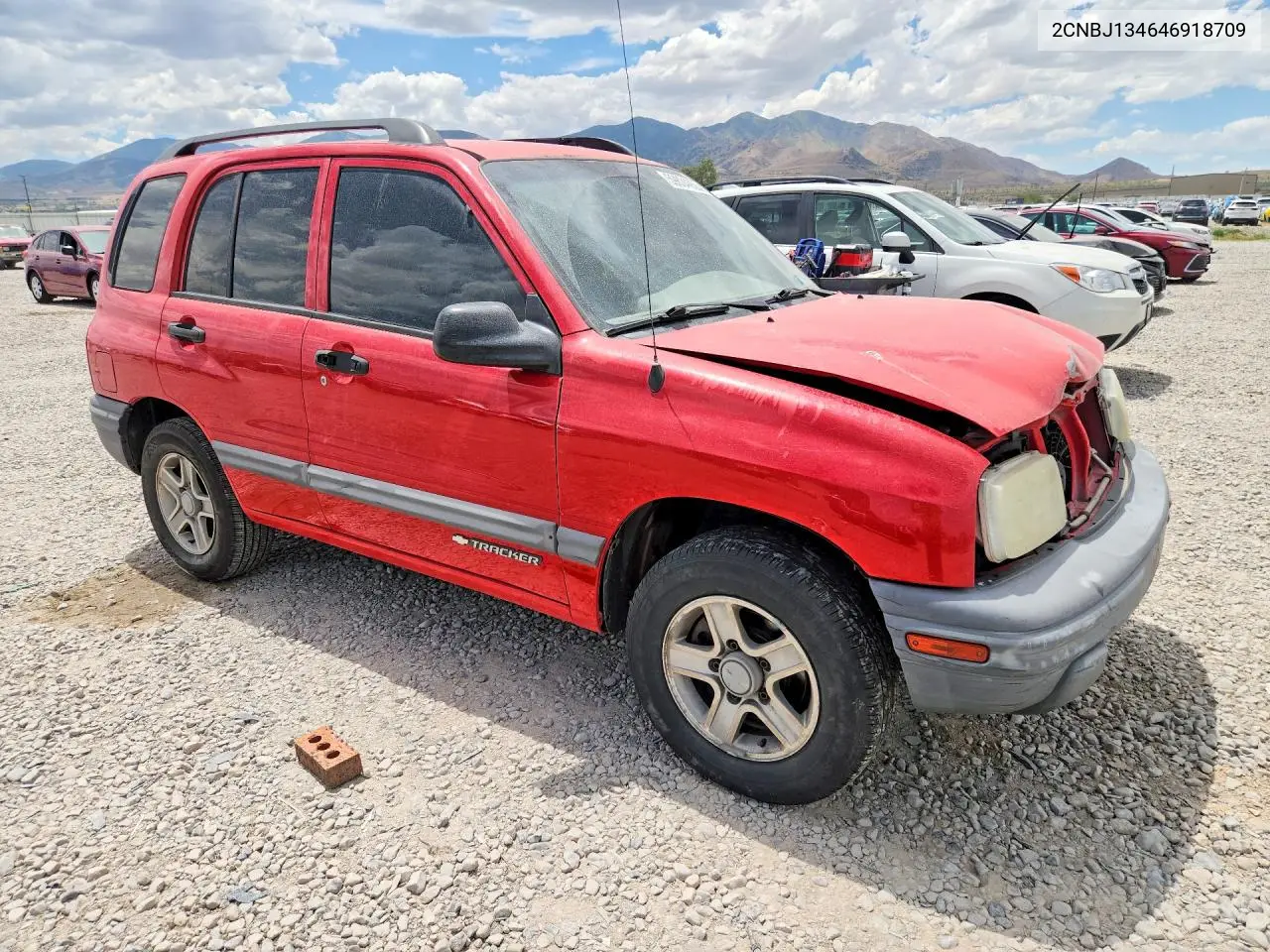 2004 Chevrolet Tracker VIN: 2CNBJ134646918709 Lot: 59834956