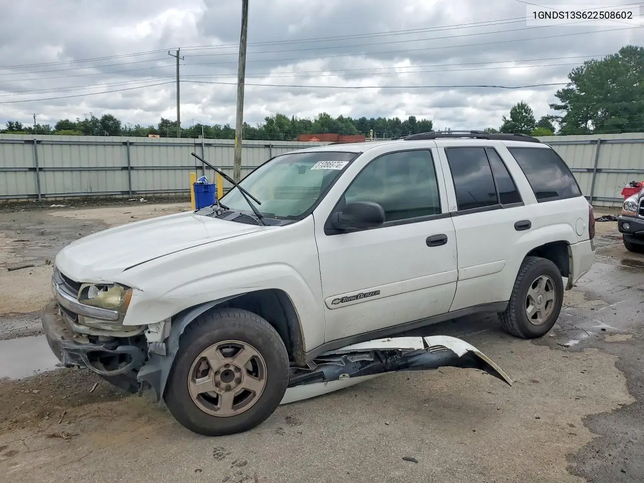 2002 Chevrolet Trailblazer VIN: 1GNDS13S622508602 Lot: 61086976
