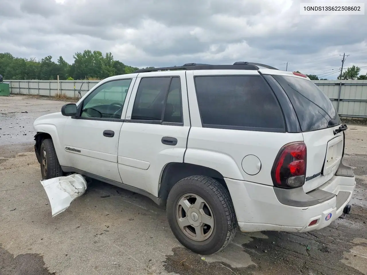 2002 Chevrolet Trailblazer VIN: 1GNDS13S622508602 Lot: 61086976