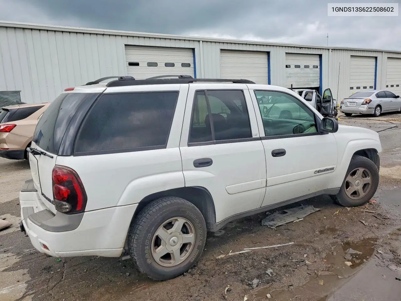 2002 Chevrolet Trailblazer VIN: 1GNDS13S622508602 Lot: 61086976