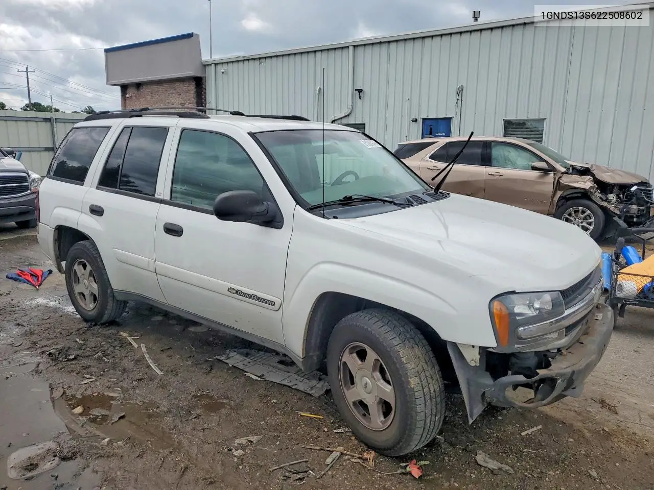 2002 Chevrolet Trailblazer VIN: 1GNDS13S622508602 Lot: 61086976