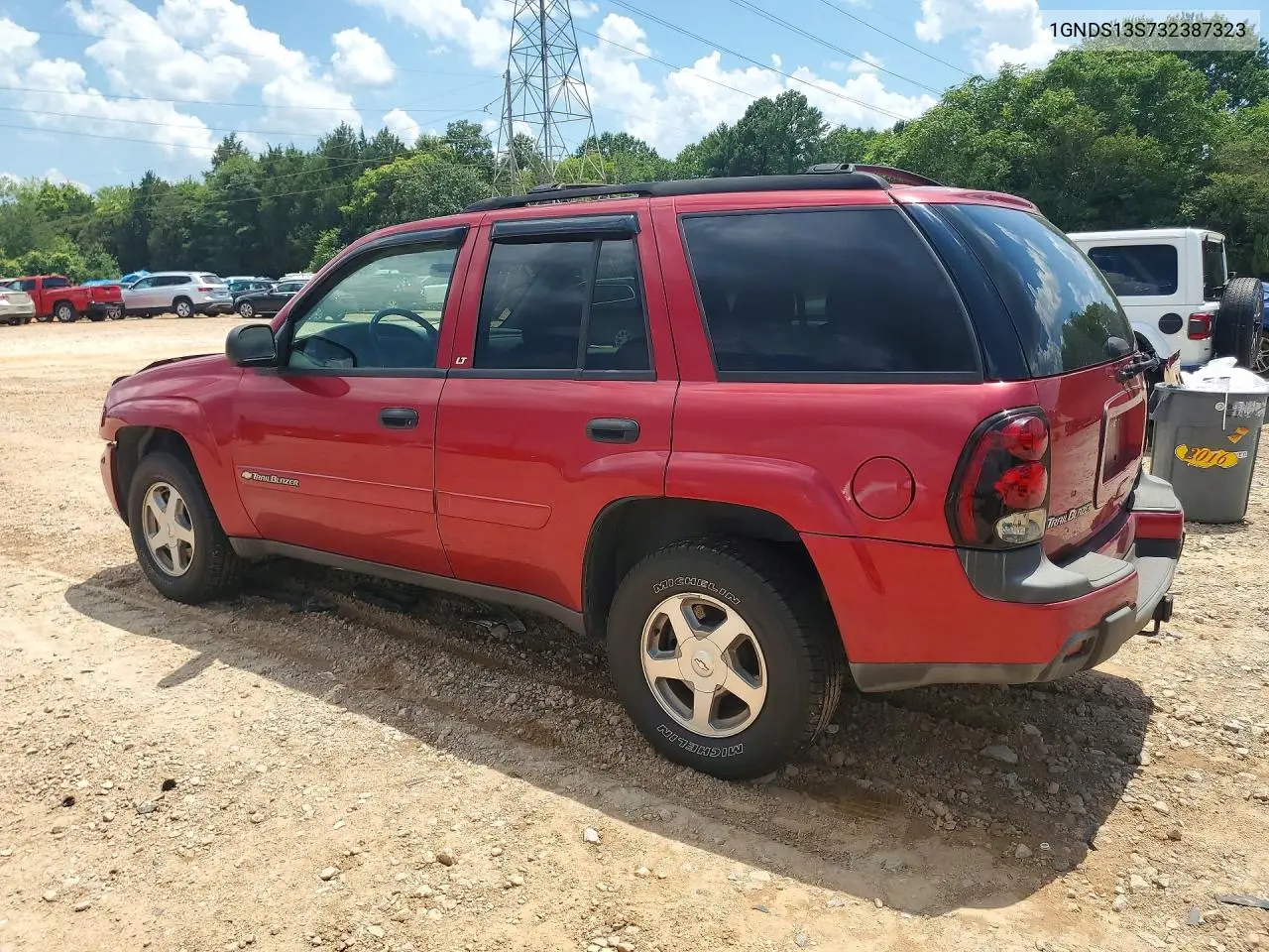 2003 Chevrolet Trailblazer VIN: 1GNDS13S732387323 Lot: 59398526