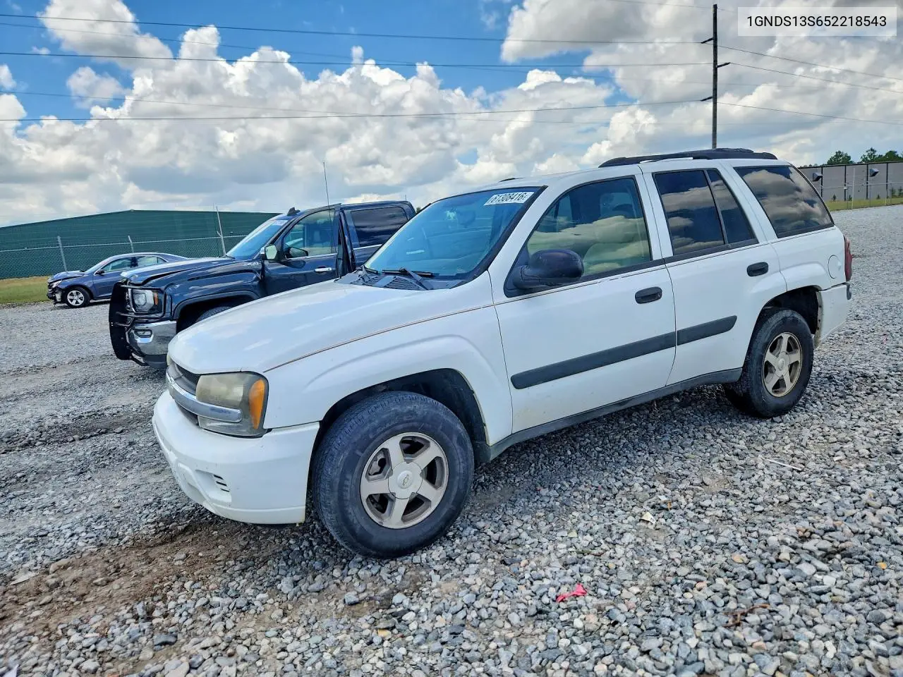 2005 Chevrolet Trailblazer Ls VIN: 1GNDS13S652218543 Lot: 61308416