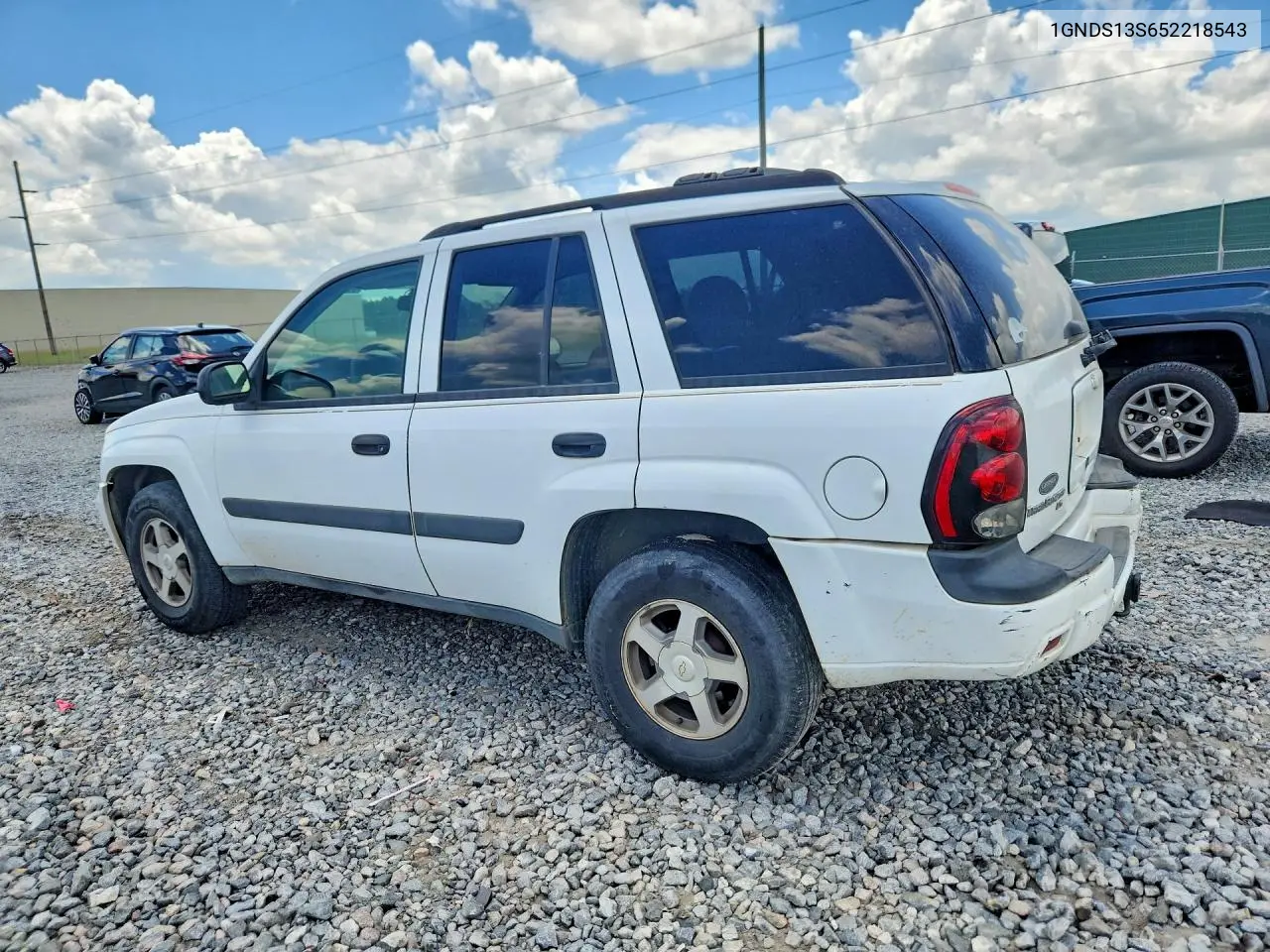 2005 Chevrolet Trailblazer Ls VIN: 1GNDS13S652218543 Lot: 61308416