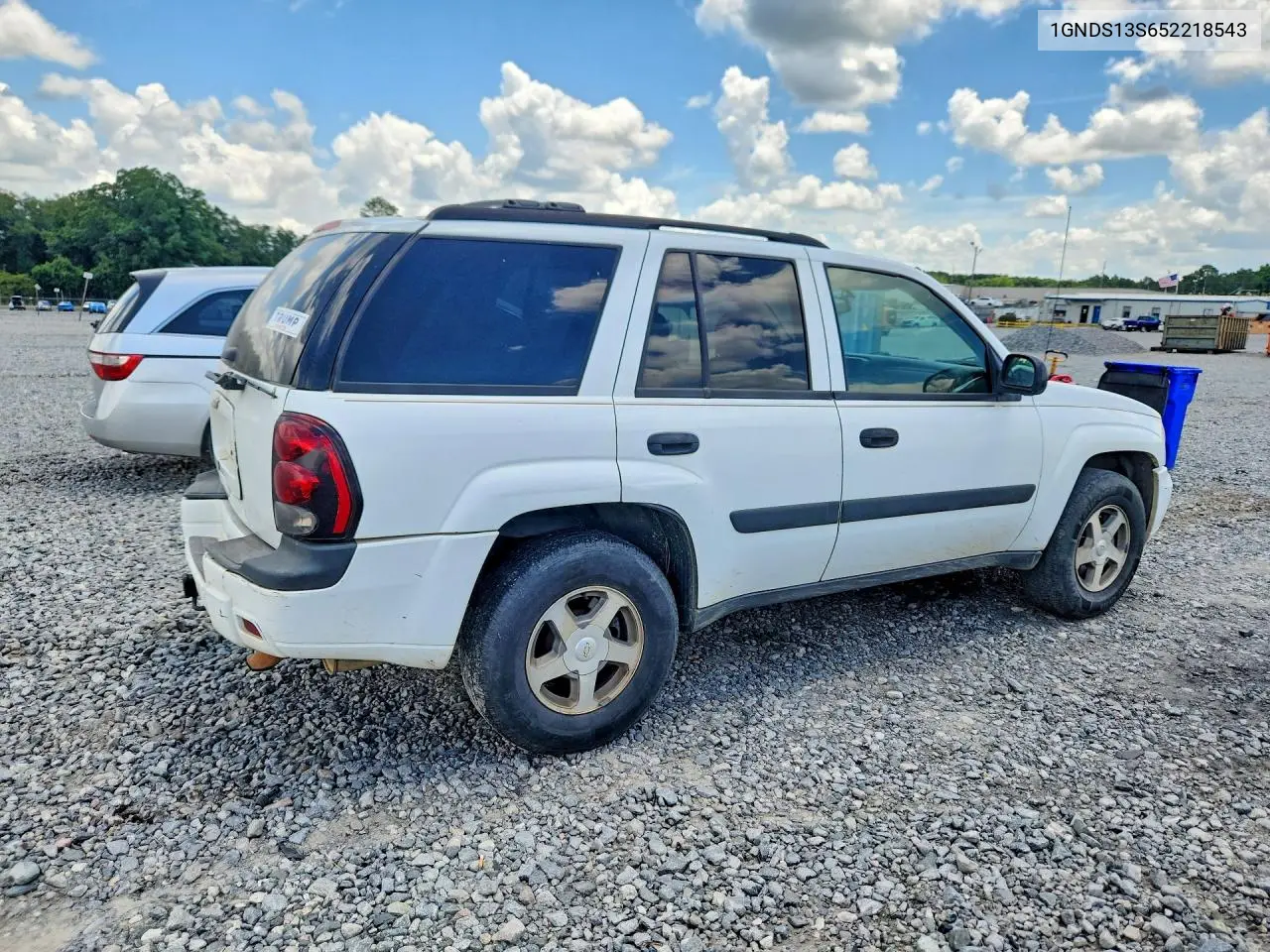 2005 Chevrolet Trailblazer Ls VIN: 1GNDS13S652218543 Lot: 61308416