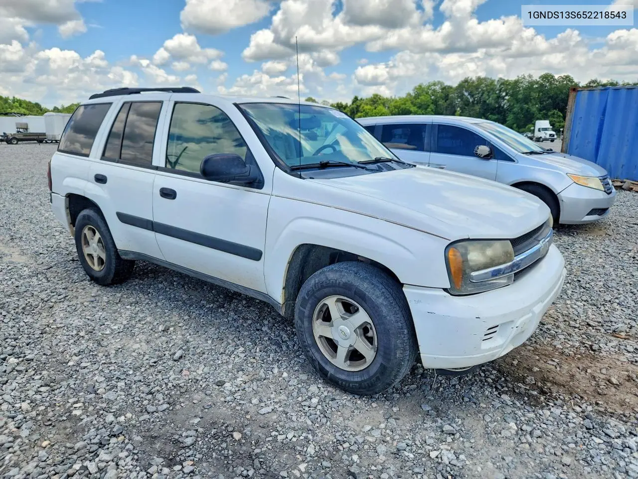 2005 Chevrolet Trailblazer Ls VIN: 1GNDS13S652218543 Lot: 61308416