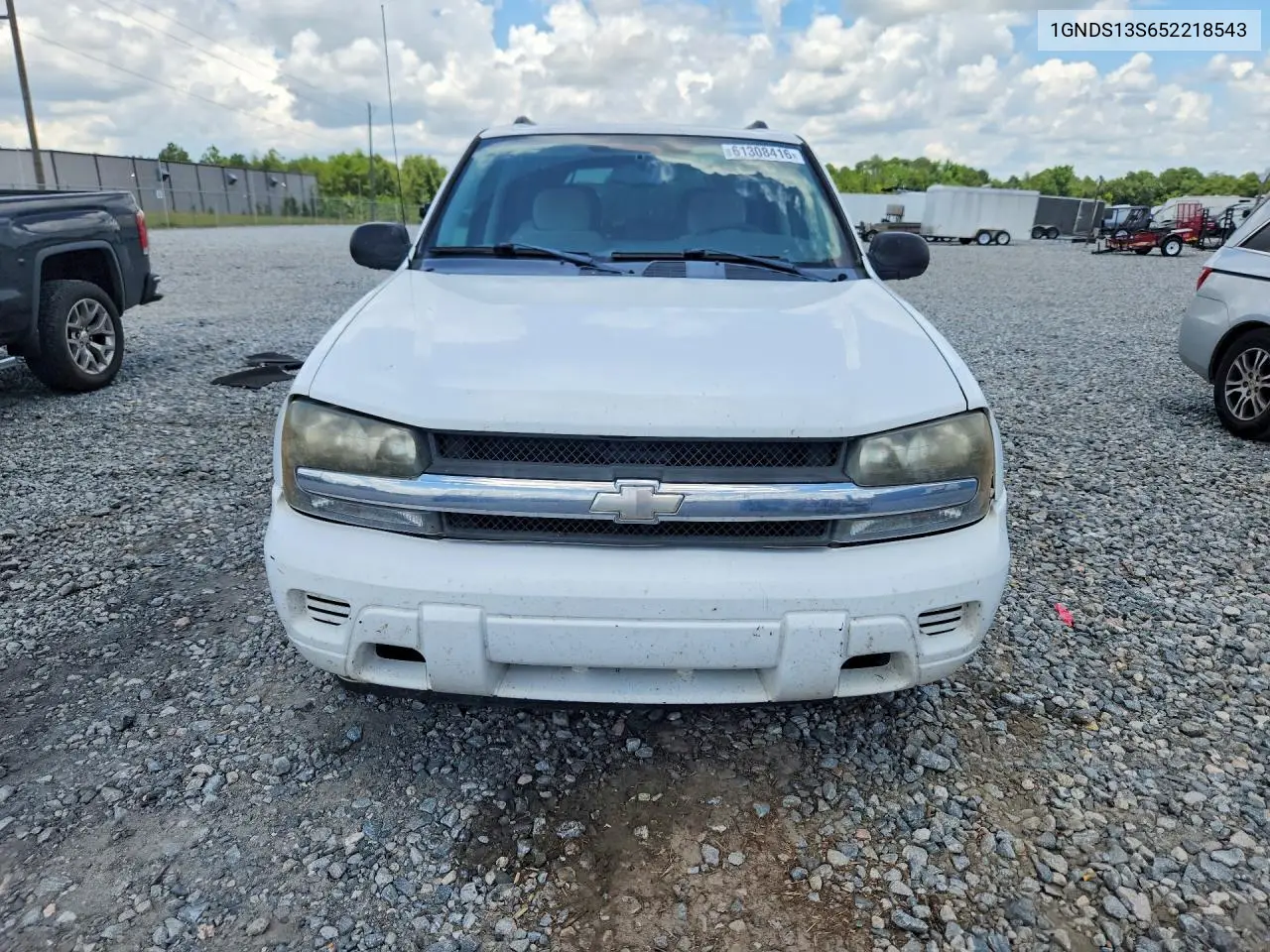 2005 Chevrolet Trailblazer Ls VIN: 1GNDS13S652218543 Lot: 61308416