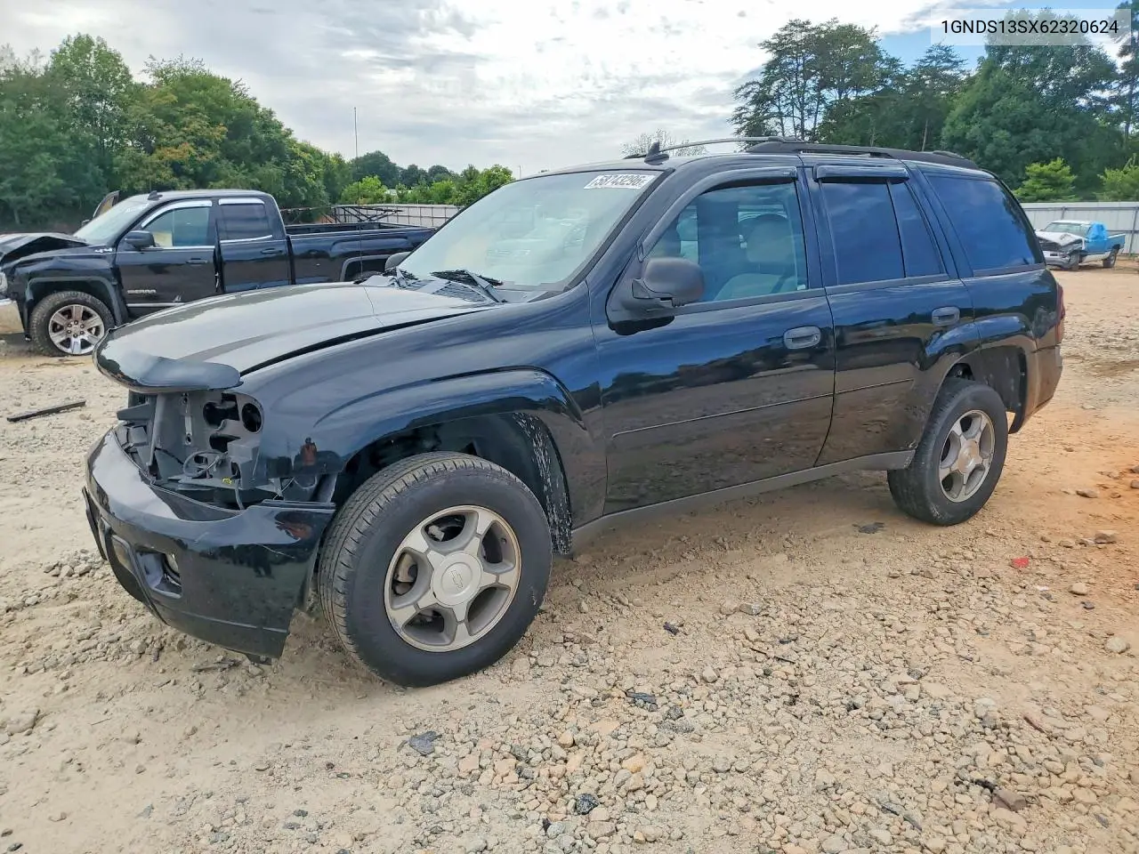 2006 Chevrolet Trailblazer Ls VIN: 1GNDS13SX62320624 Lot: 58743296