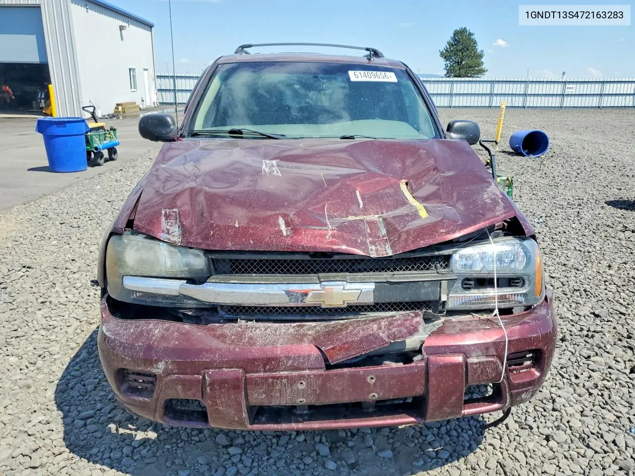 2007 Chevrolet Trailblazer Ls/Lt VIN: 1GNDT13S472163283 Lot: 61409656