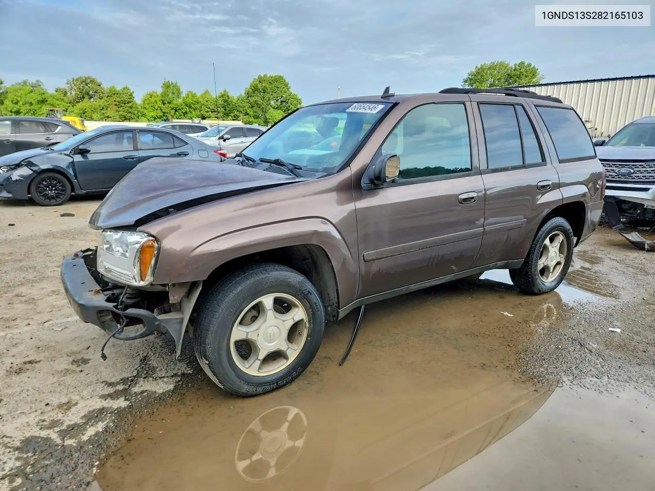 2008 Chevrolet Trailblazer Ls VIN: 1GNDS13S282165103 Lot: 60654546