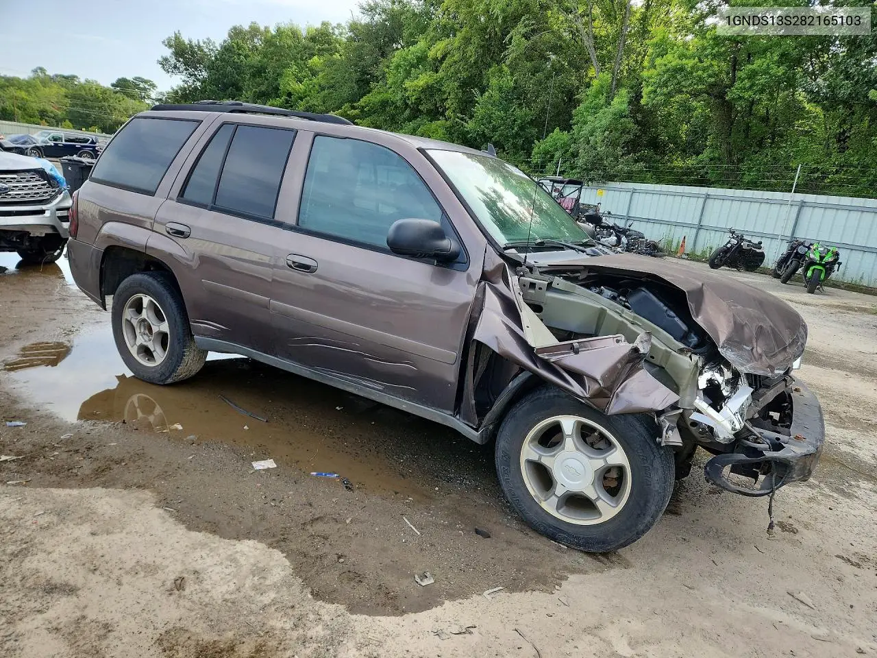 2008 Chevrolet Trailblazer Ls VIN: 1GNDS13S282165103 Lot: 60654546