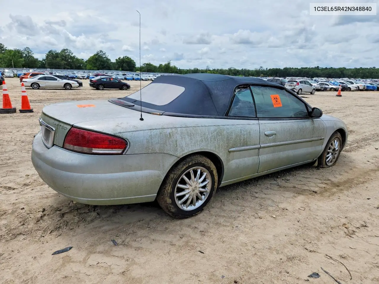 2002 Chrysler Sebring Limited VIN: 1C3EL65R42N348840 Lot: 53694726