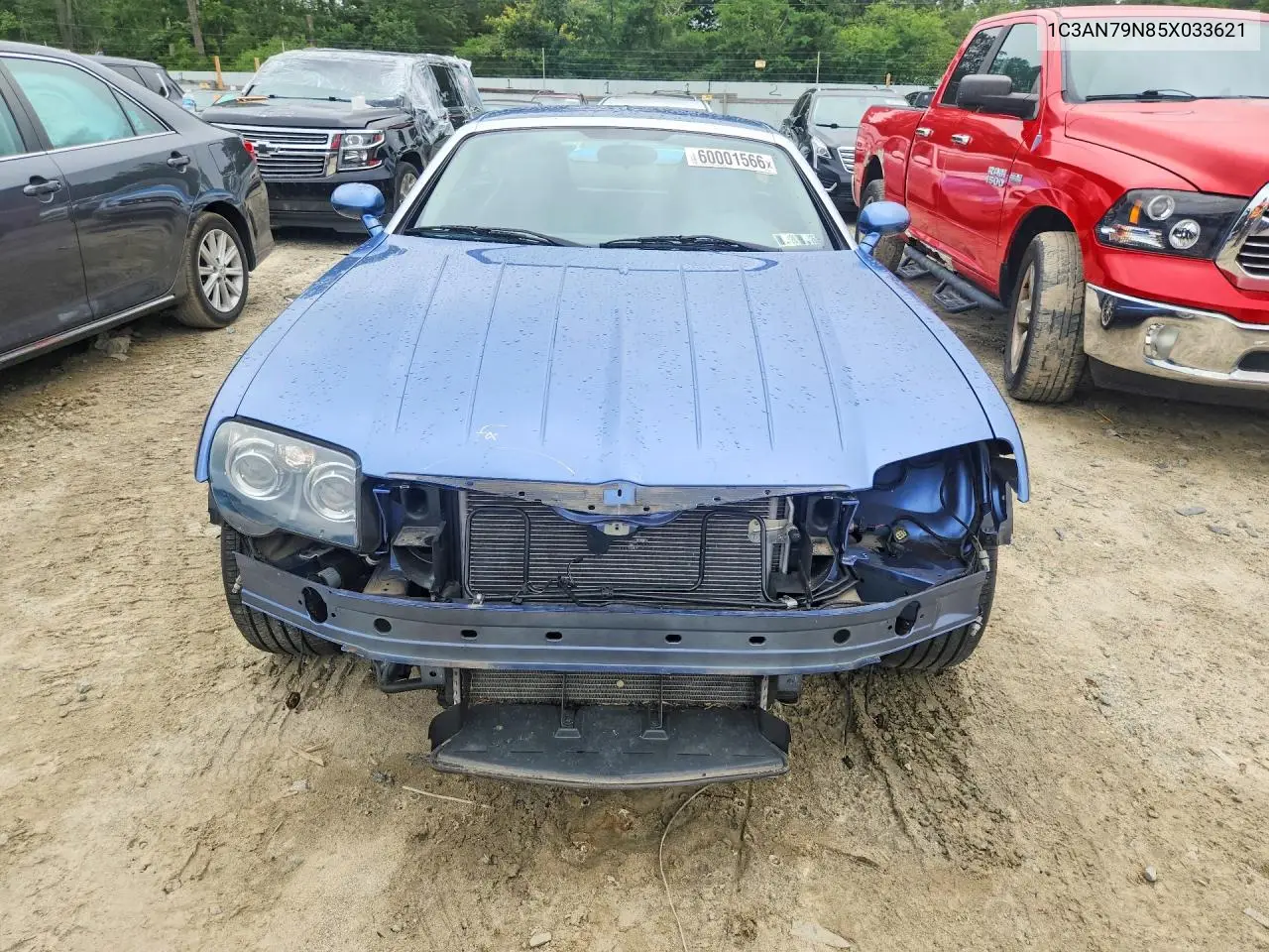 2005 Chrysler Crossfire Srt-6 VIN: 1C3AN79N85X033621 Lot: 60001566