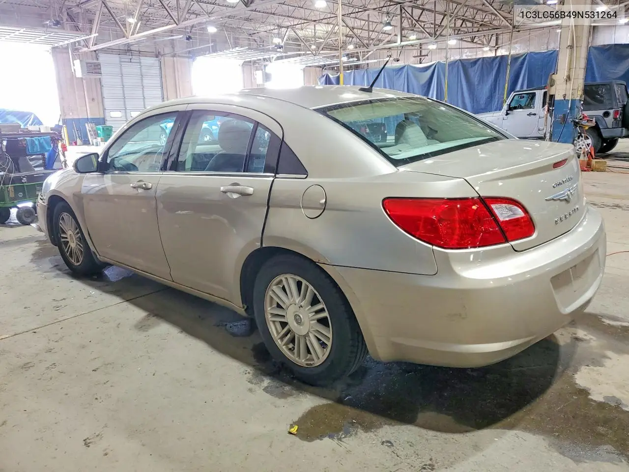 2009 Chrysler Sebring Touring VIN: 1C3LC56B49N531264 Lot: 53553946