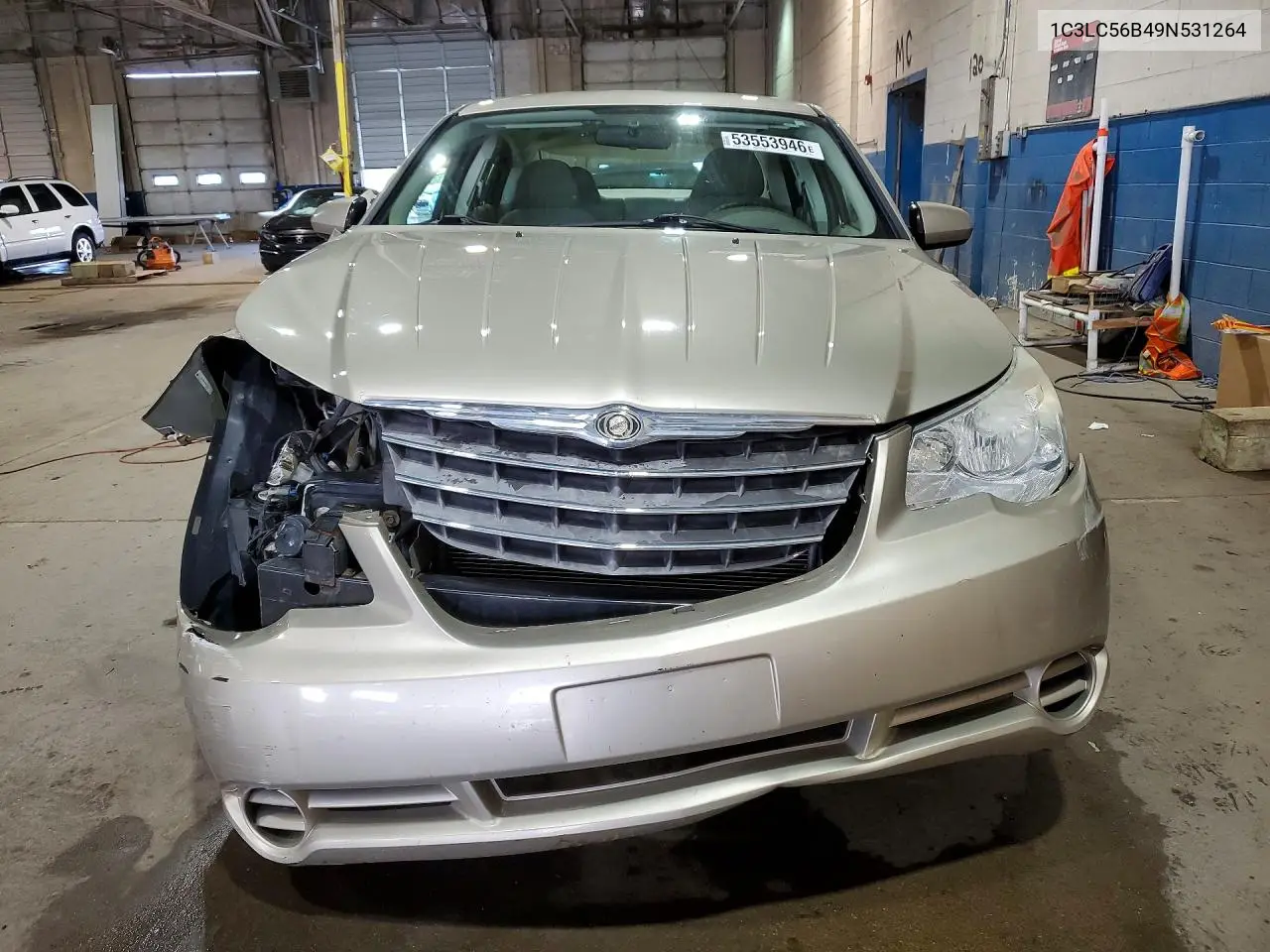 2009 Chrysler Sebring Touring VIN: 1C3LC56B49N531264 Lot: 53553946