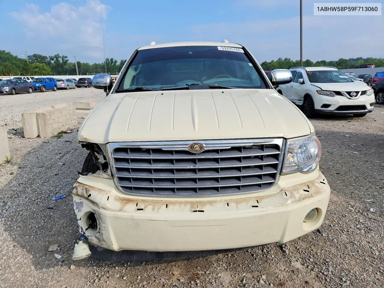 2009 Chrysler Aspen Limited VIN: 1A8HW58P59F713060 Lot: 59295766