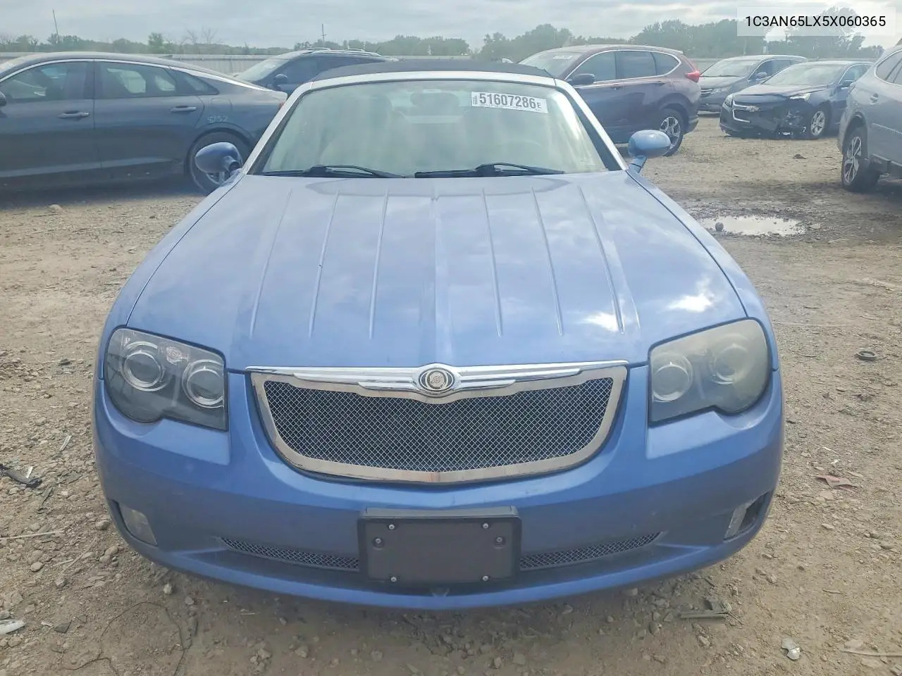 2005 Chrysler Crossfire Limited VIN: 1C3AN65LX5X060365 Lot: 51607286