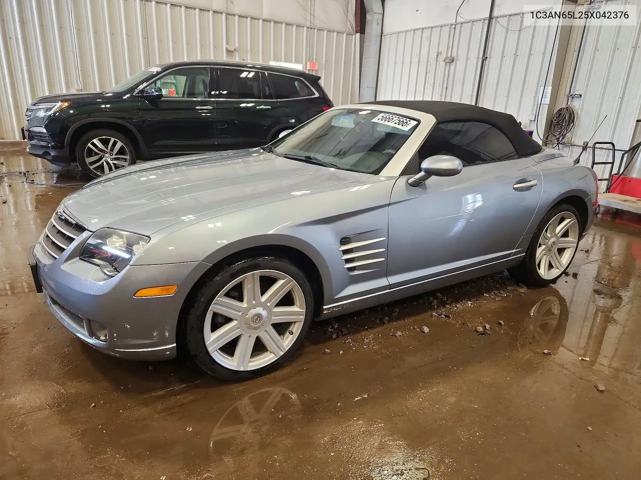 2005 Chrysler Crossfire Limited VIN: 1C3AN65L25X042376 Lot: 56667566