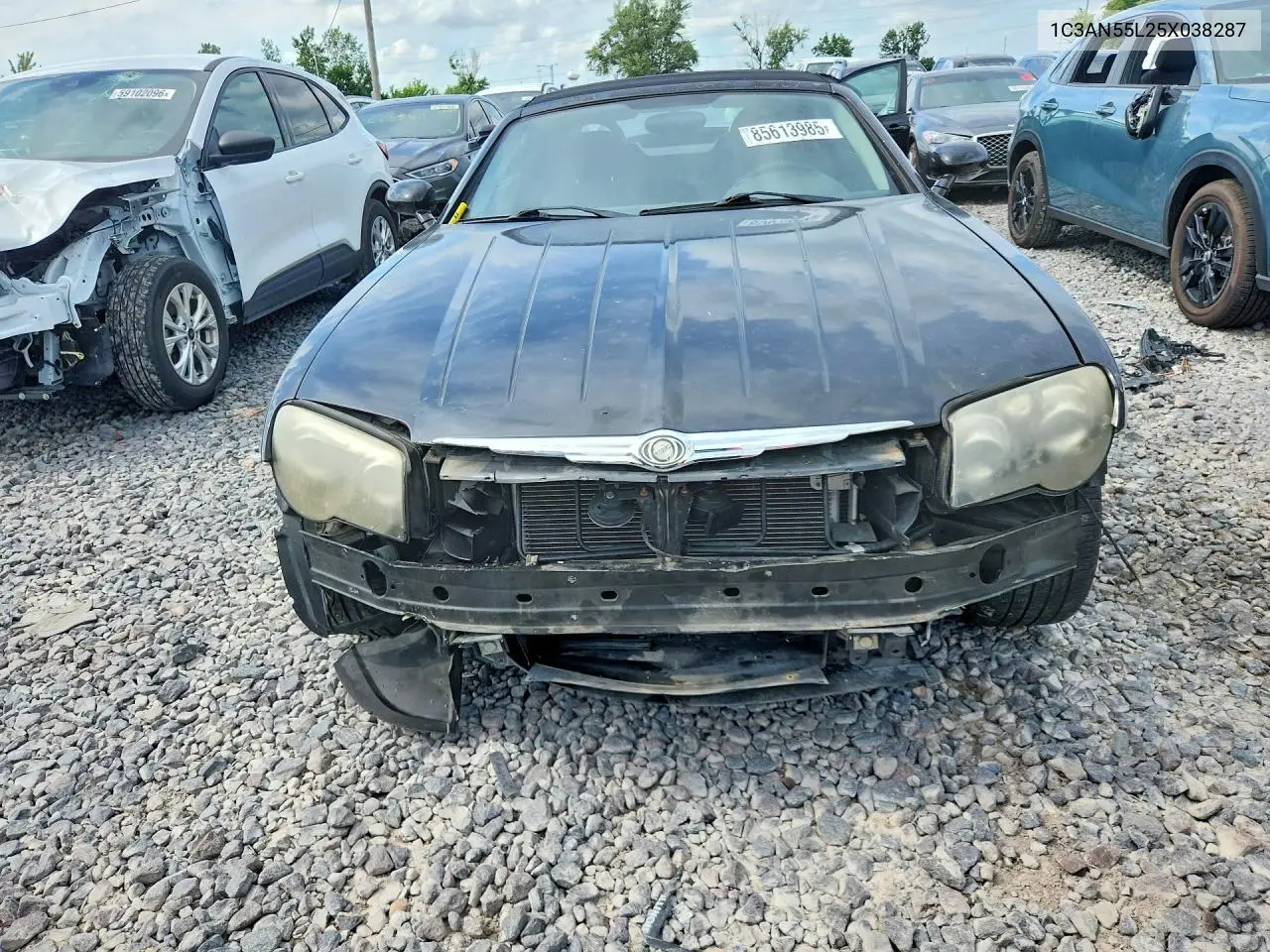 2005 Chrysler Crossfire VIN: 1C3AN55L25X038287 Lot: 85613985