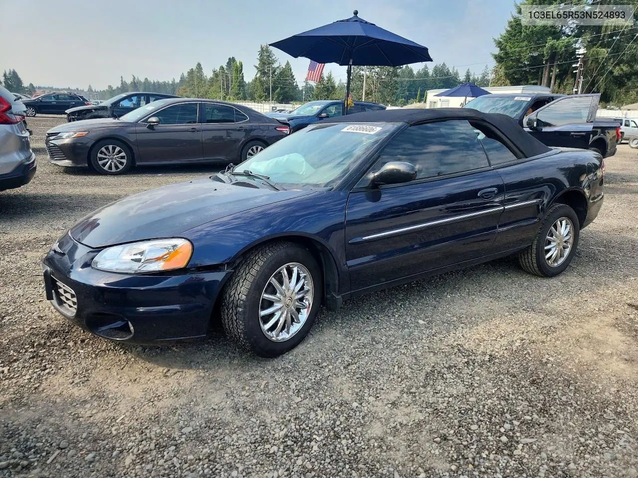 2003 Chrysler Sebring Limited VIN: 1C3EL65R53N524893 Lot: 61886606