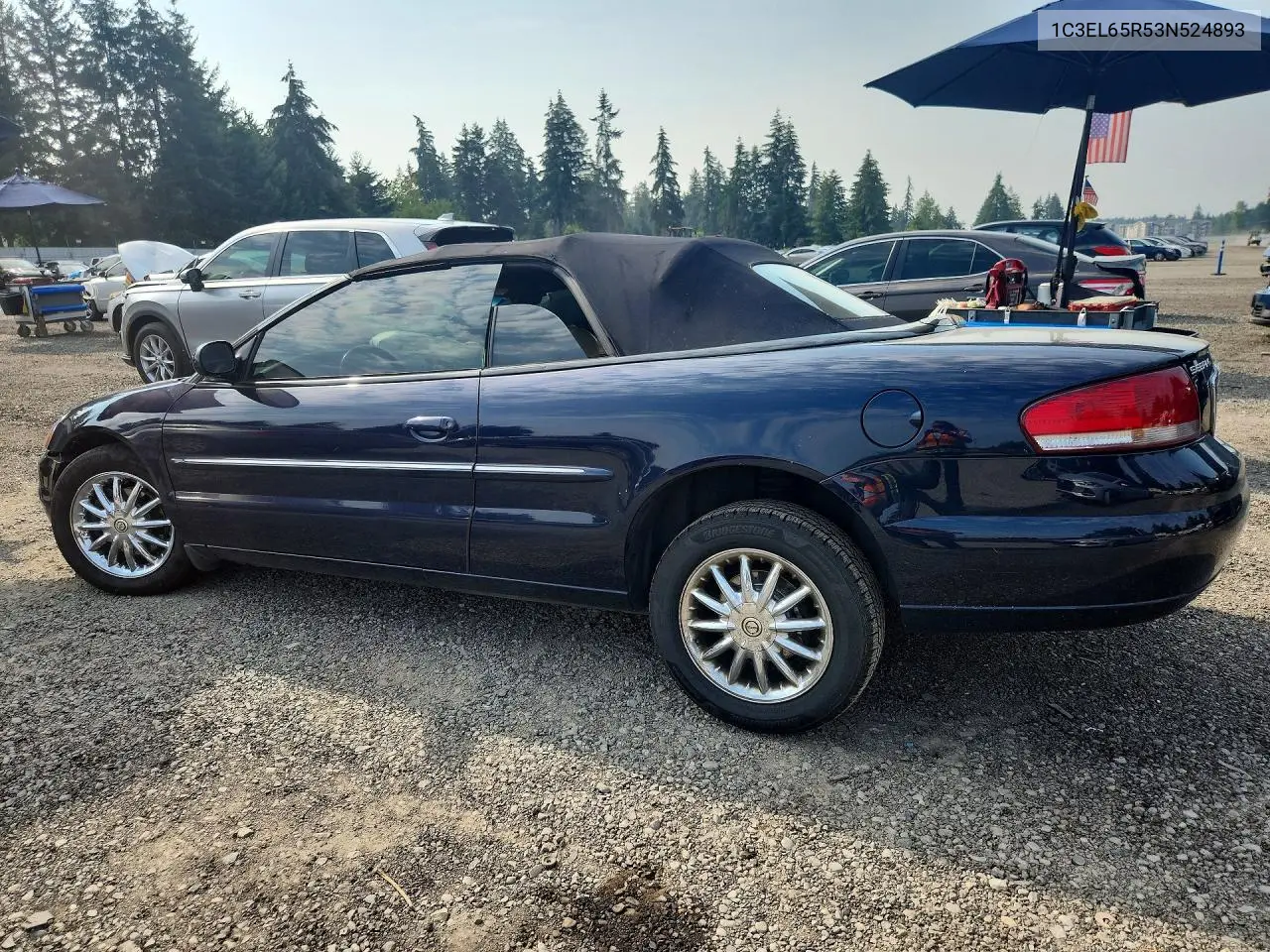 2003 Chrysler Sebring Limited VIN: 1C3EL65R53N524893 Lot: 61886606