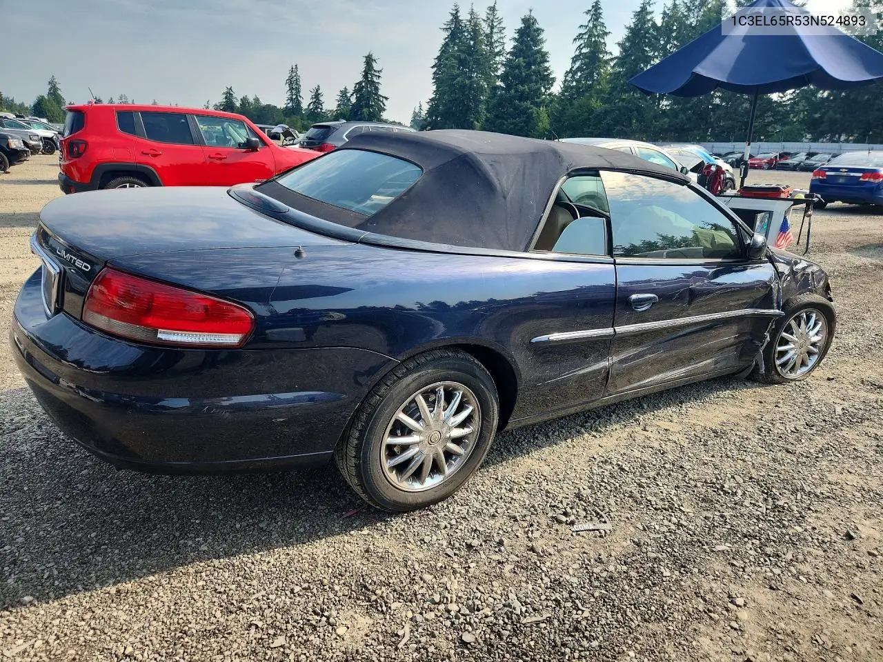 2003 Chrysler Sebring Limited VIN: 1C3EL65R53N524893 Lot: 61886606
