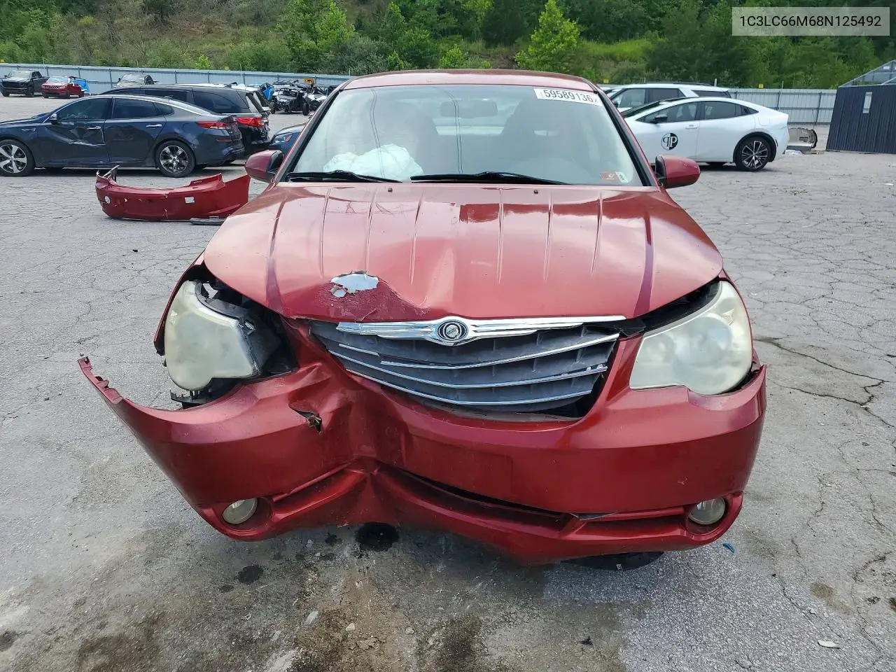 2008 Chrysler Sebring Limited VIN: 1C3LC66M68N125492 Lot: 59589136