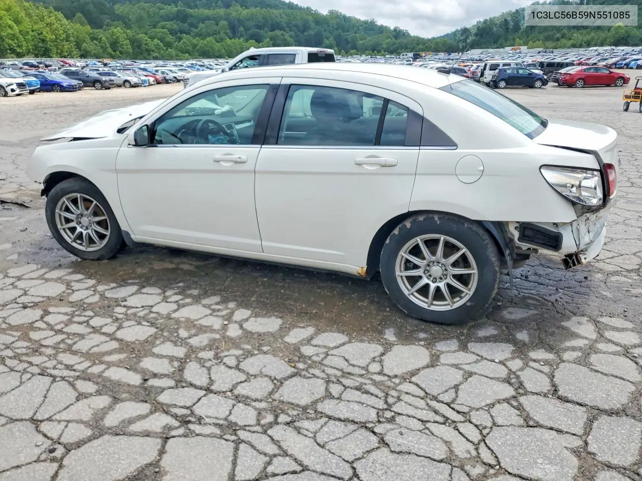 2009 Chrysler Sebring Touring VIN: 1C3LC56B59N551085 Lot: 59745306