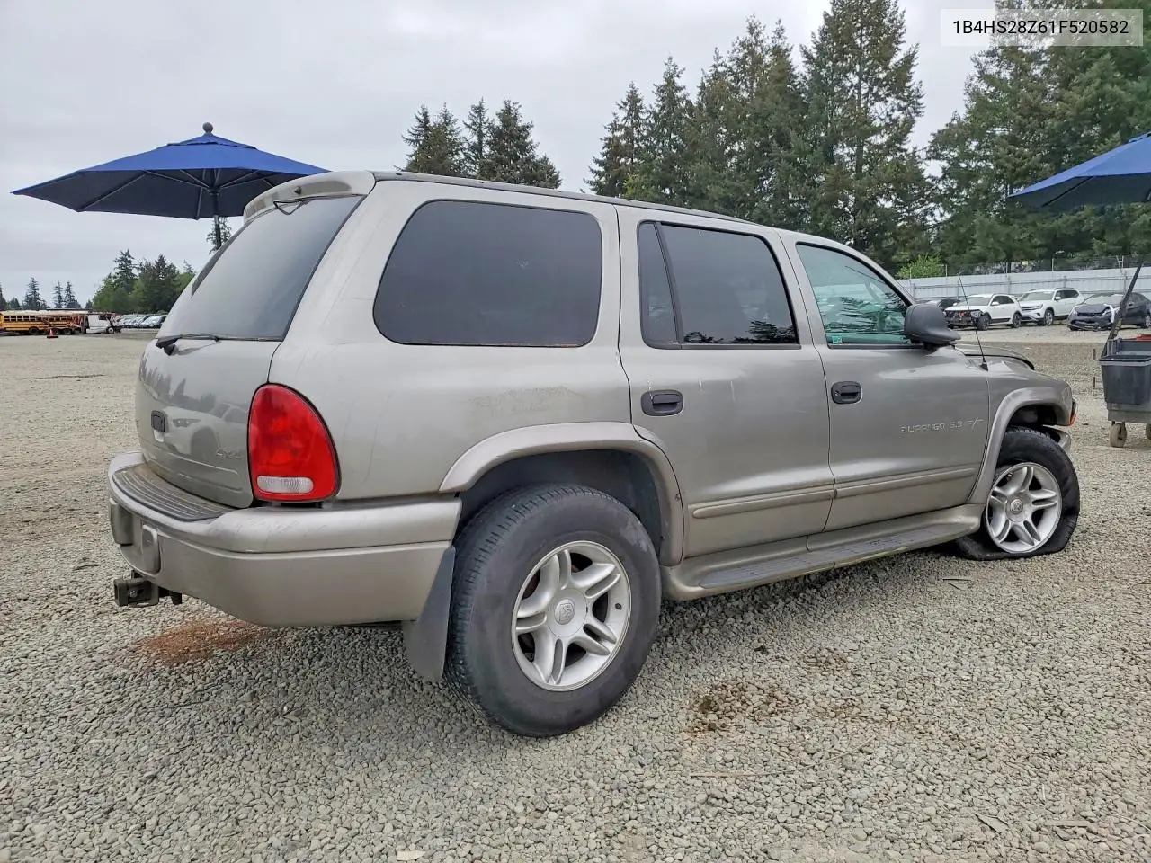 2001 Dodge Durango VIN: 1B4HS28Z61F520582 Lot: 52451206