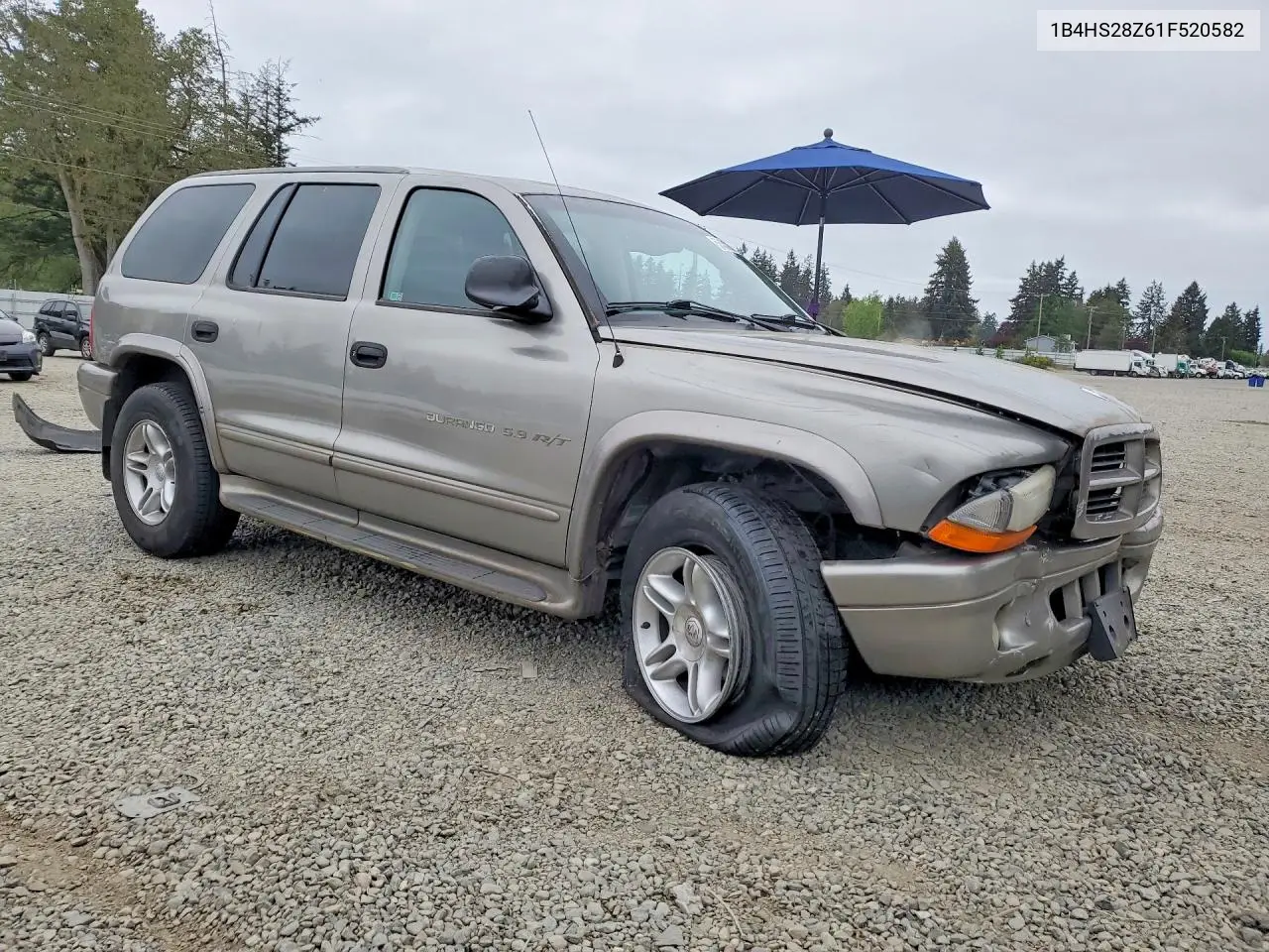 2001 Dodge Durango VIN: 1B4HS28Z61F520582 Lot: 52451206