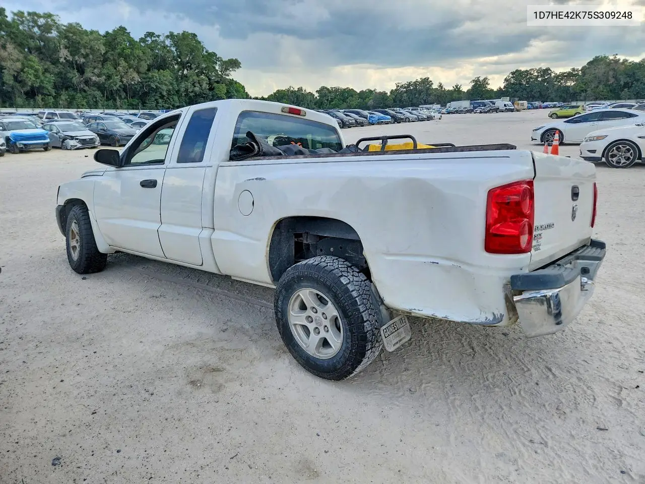 2005 Dodge Dakota Slt VIN: 1D7HE42K75S309248 Lot: 58718076