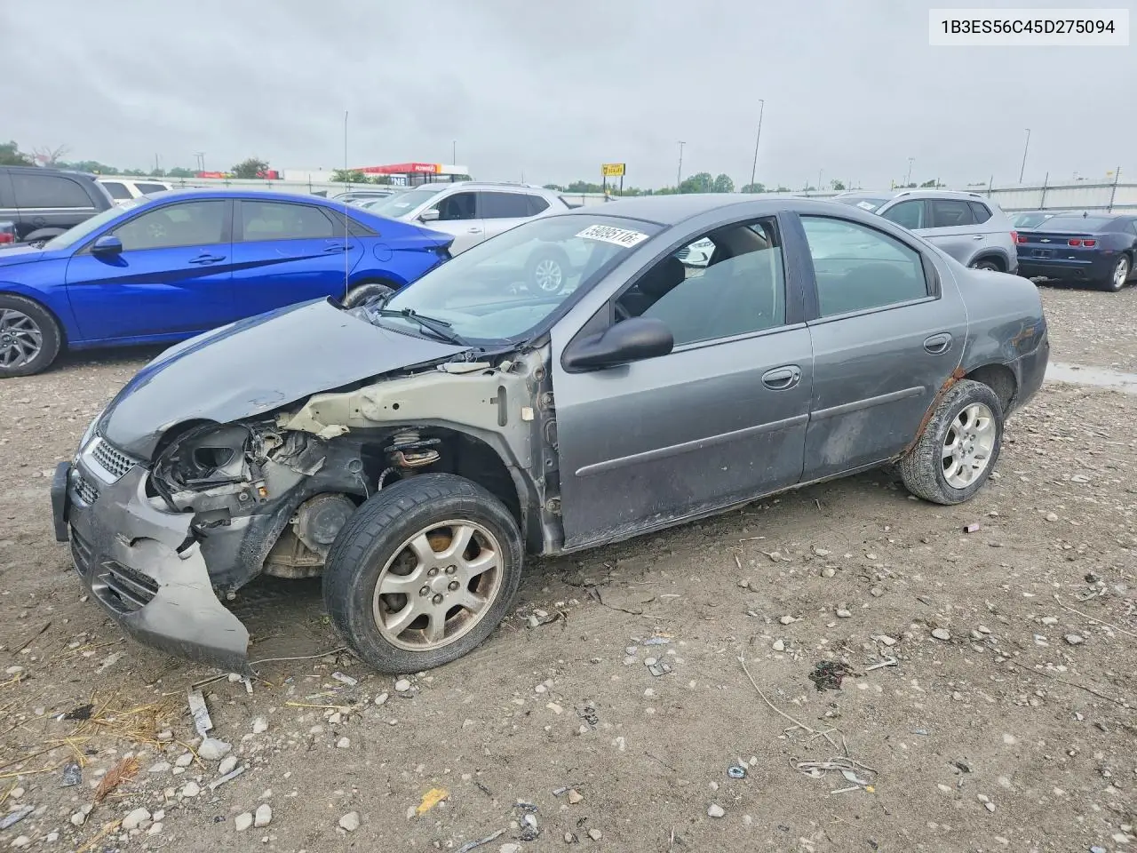 2005 Dodge Neon Sxt VIN: 1B3ES56C45D275094 Lot: 59095116