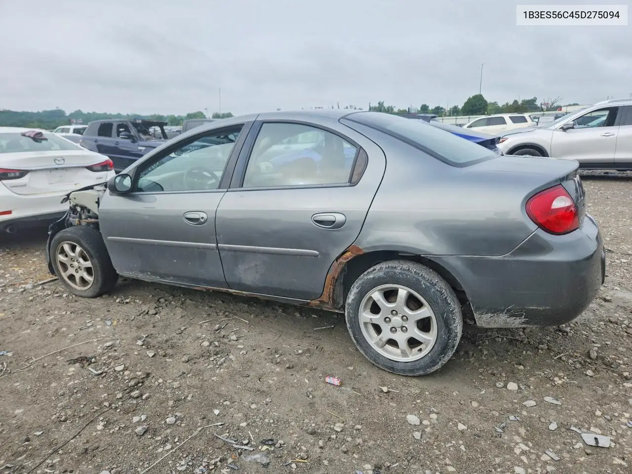 2005 Dodge Neon Sxt VIN: 1B3ES56C45D275094 Lot: 59095116