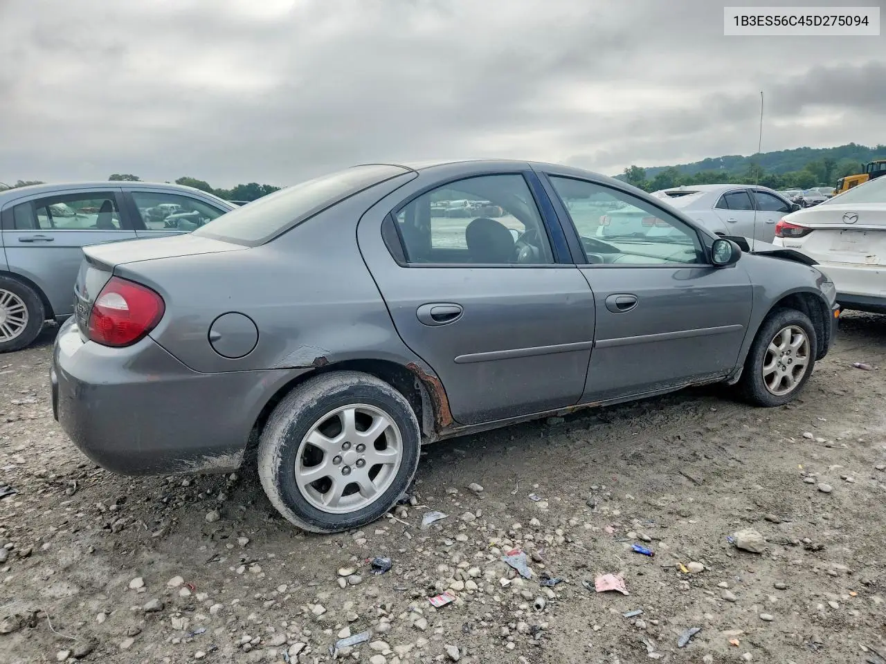 2005 Dodge Neon Sxt VIN: 1B3ES56C45D275094 Lot: 59095116