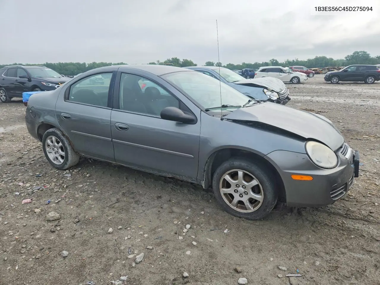 2005 Dodge Neon Sxt VIN: 1B3ES56C45D275094 Lot: 59095116