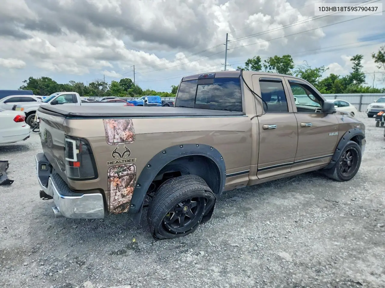 2009 Dodge Ram 1500 VIN: 1D3HB18T59S790437 Lot: 62005346