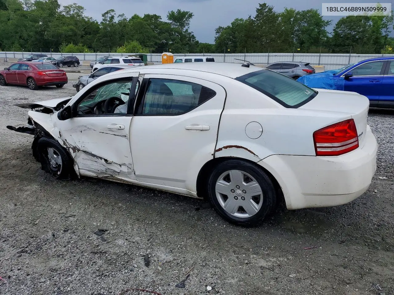 2009 Dodge Avenger Se VIN: 1B3LC46B89N509999 Lot: 56997456