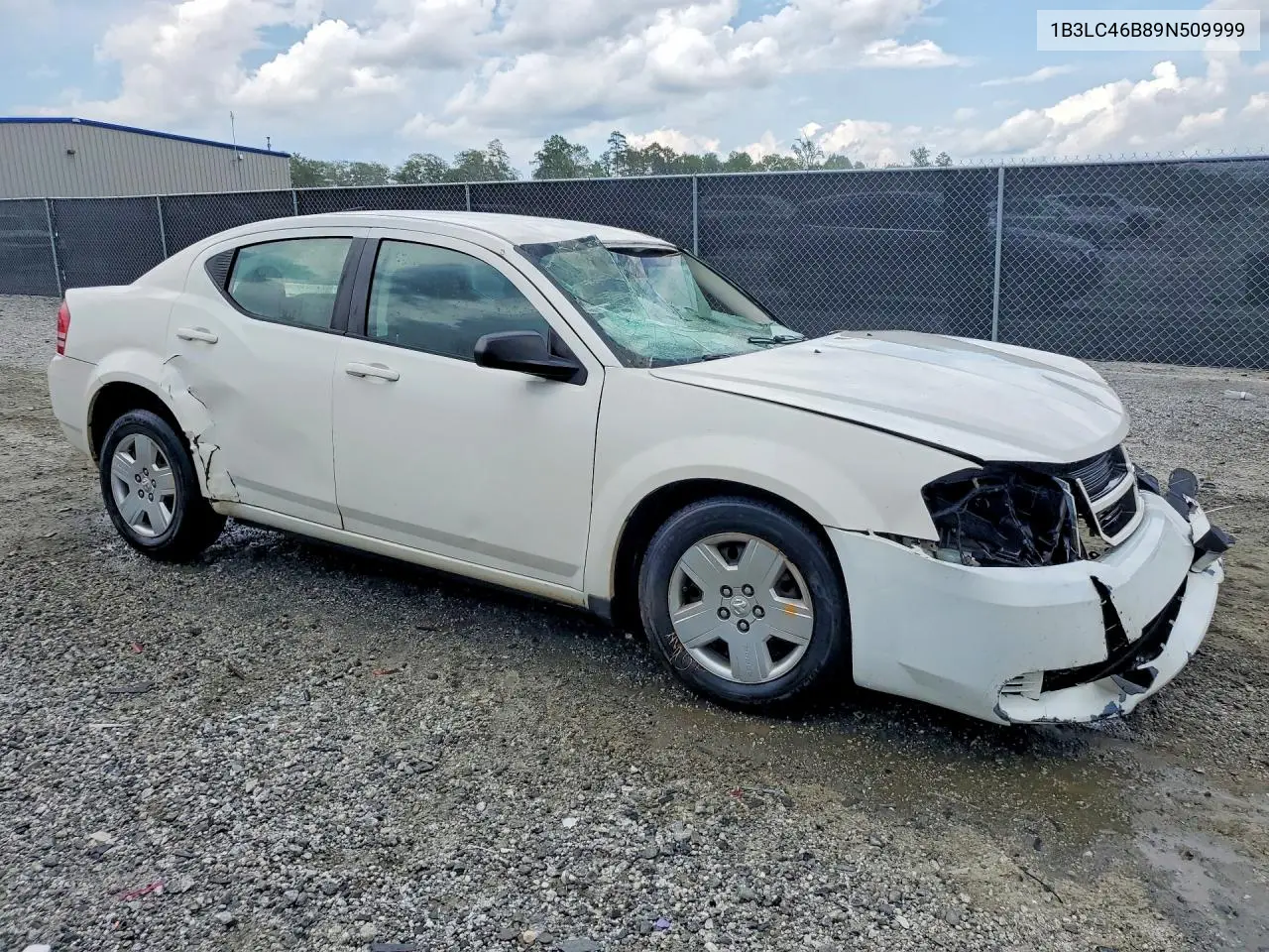2009 Dodge Avenger Se VIN: 1B3LC46B89N509999 Lot: 56997456