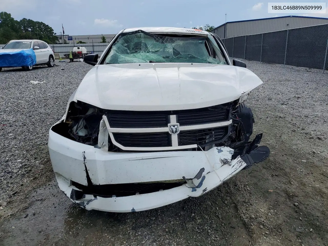 2009 Dodge Avenger Se VIN: 1B3LC46B89N509999 Lot: 56997456