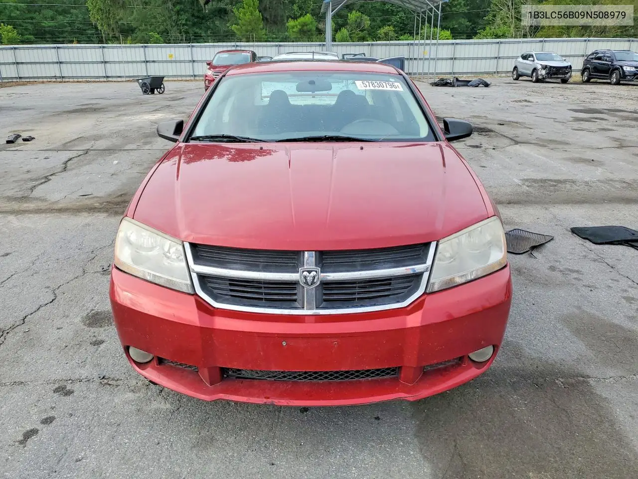 2009 Dodge Avenger Sxt VIN: 1B3LC56B09N508979 Lot: 57830796