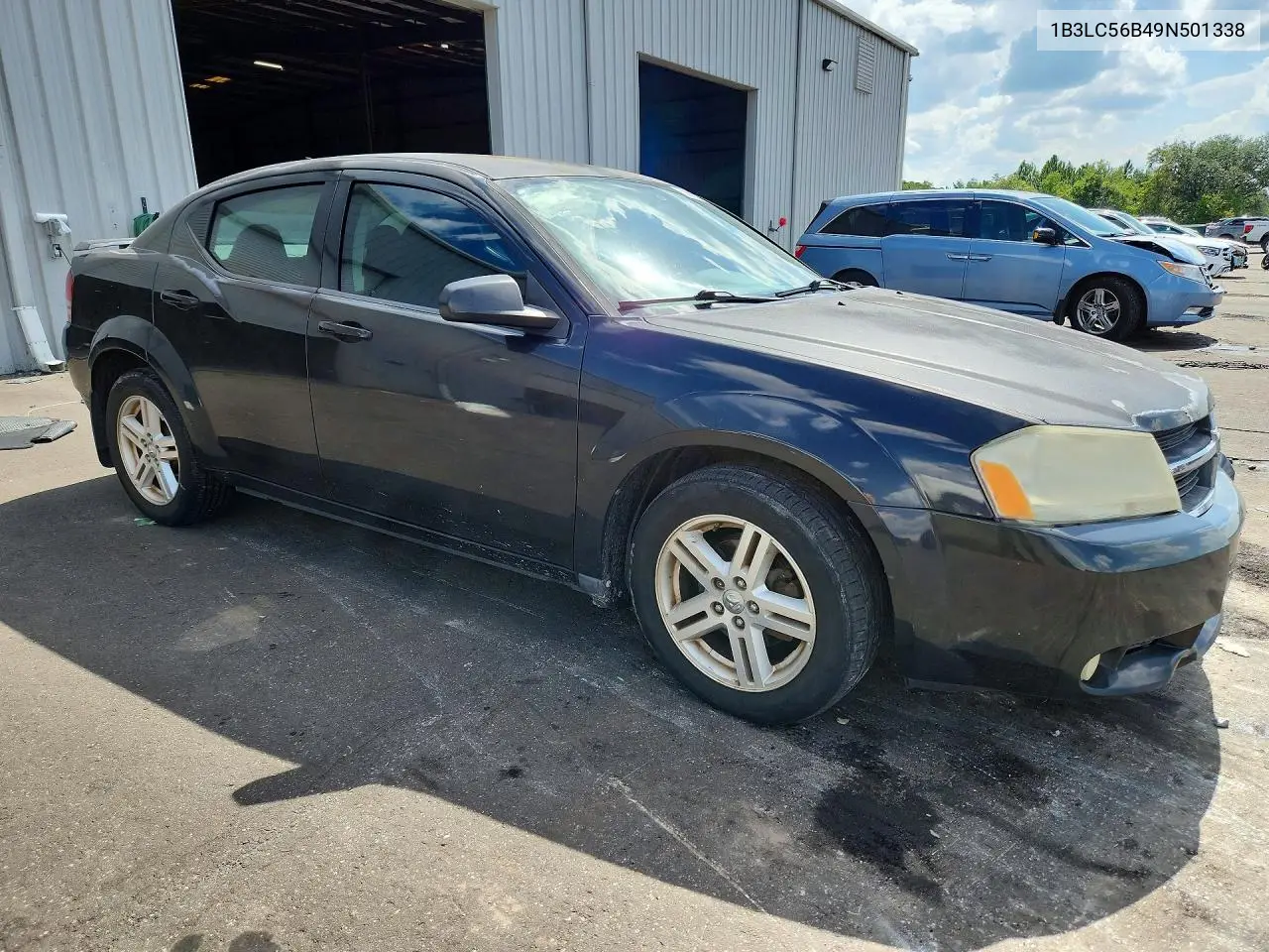 2009 Dodge Avenger Sxt VIN: 1B3LC56B49N501338 Lot: 59969426
