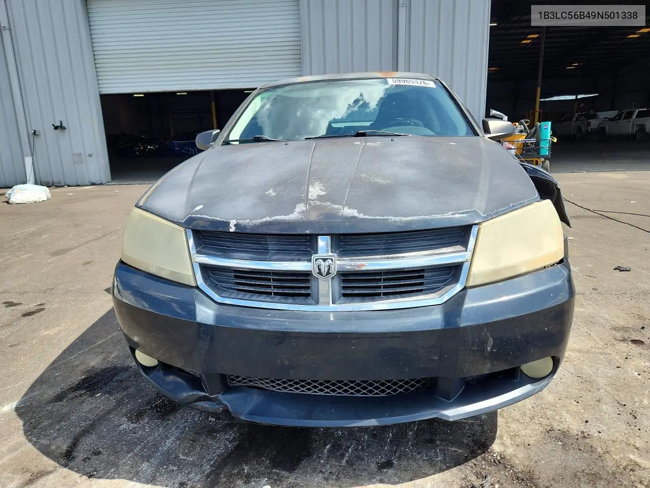 2009 Dodge Avenger Sxt VIN: 1B3LC56B49N501338 Lot: 59969426