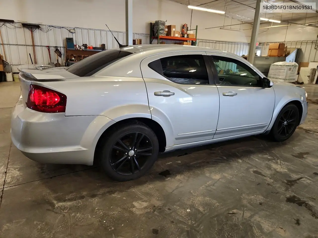 2011 Dodge Avenger Mainstreet VIN: 1B3BD1FG1BN509531 Lot: 57163926