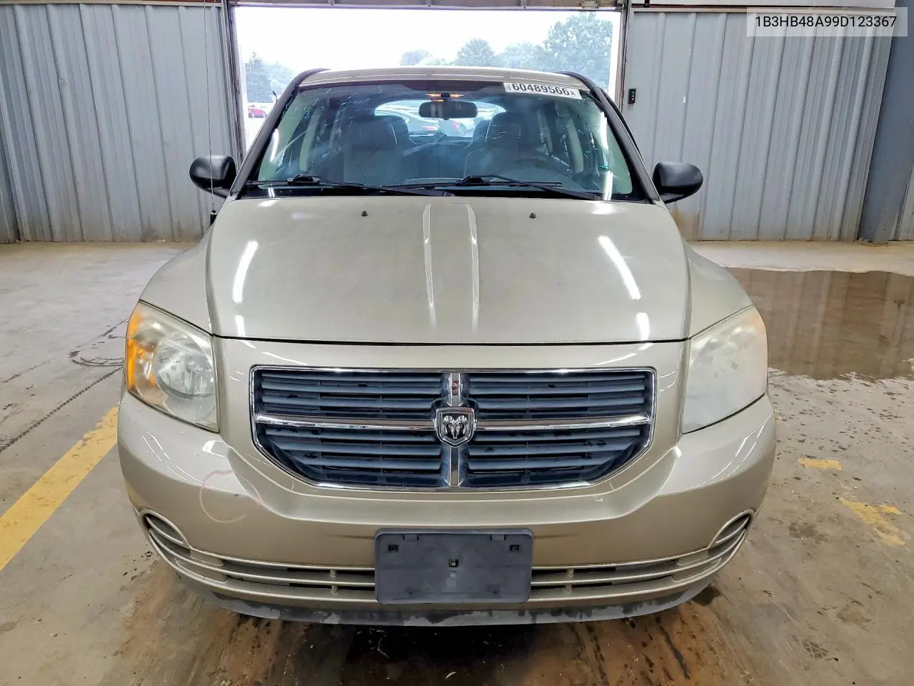 2009 Dodge Caliber Sxt VIN: 1B3HB48A99D123367 Lot: 60489566