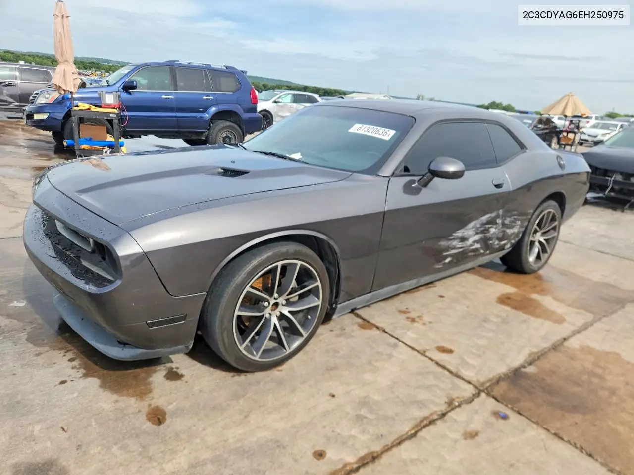 2014 Dodge Challenger Sxt VIN: 2C3CDYAG6EH250975 Lot: 61320636