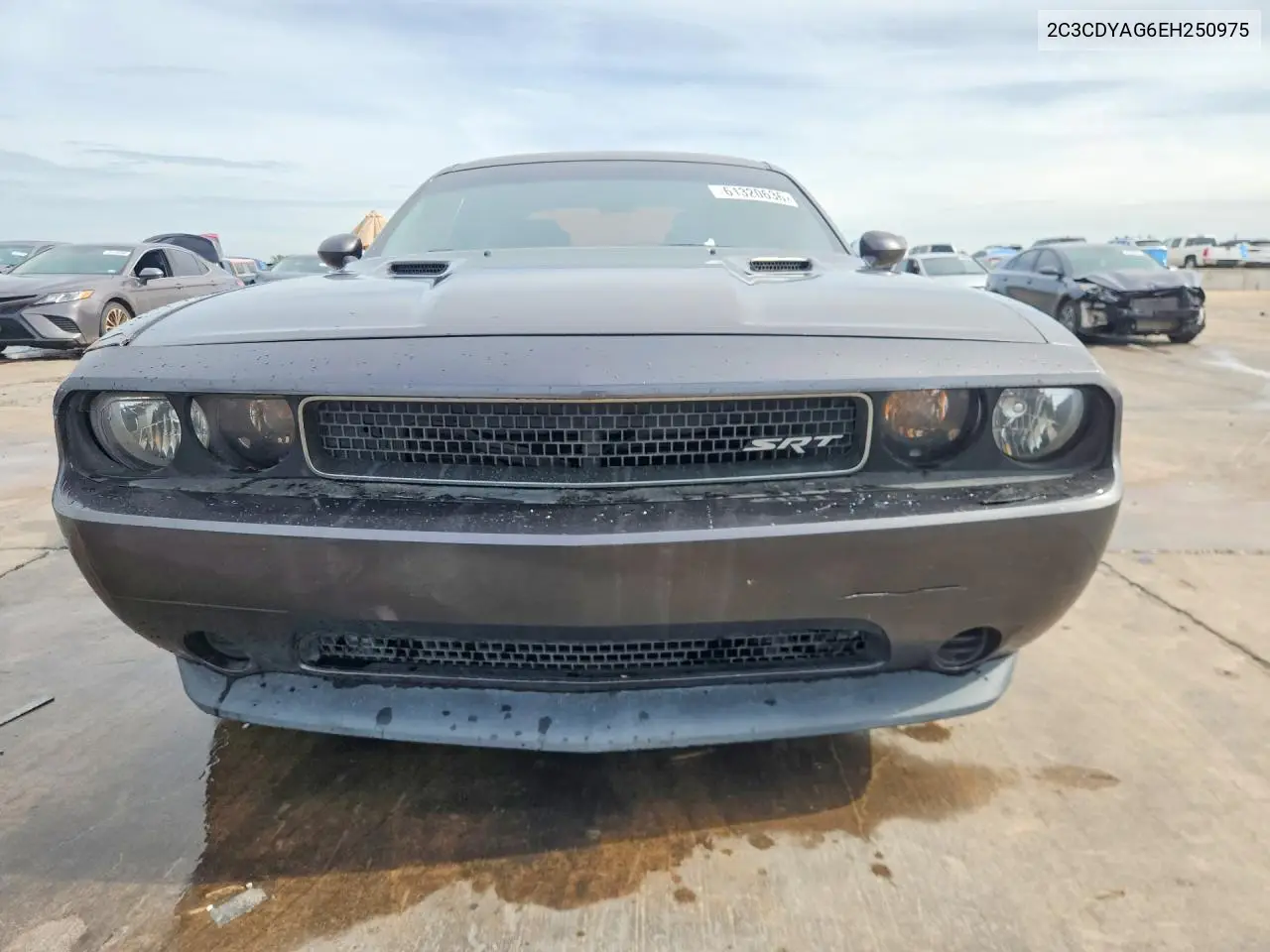 2014 Dodge Challenger Sxt VIN: 2C3CDYAG6EH250975 Lot: 61320636