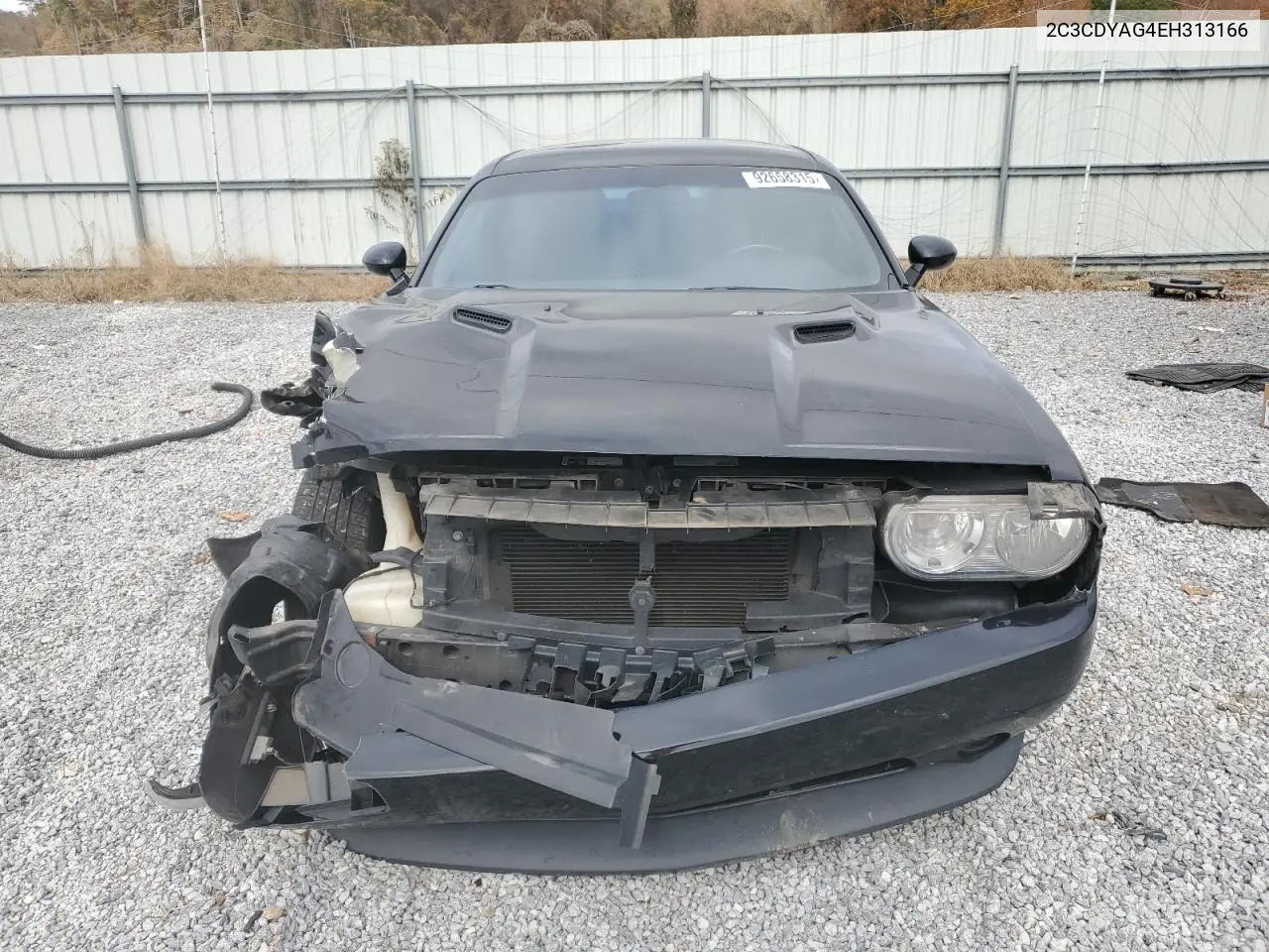 2C3CDYAG4EH313166 2014 Dodge Challenger Sxt
