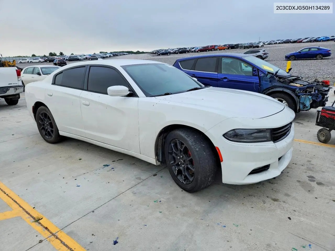2016 Dodge Charger Sxt VIN: 2C3CDXJG5GH134289 Lot: 60493996