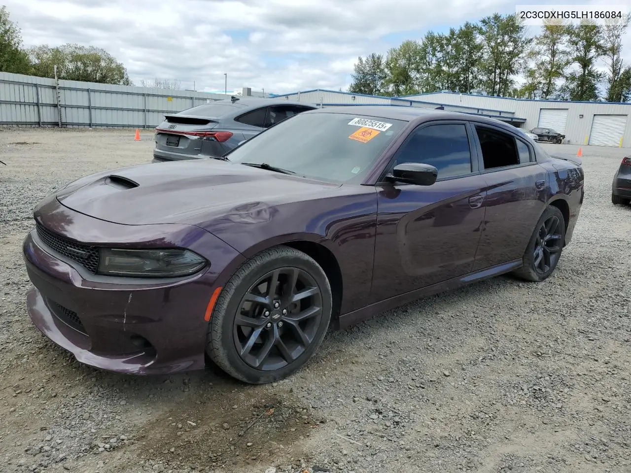 2C3CDXHG5LH186084 2020 Dodge Charger Gt